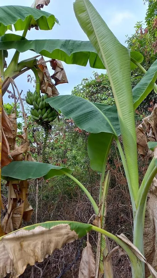 Chacara Recanto Da Paz Caldas Novas
